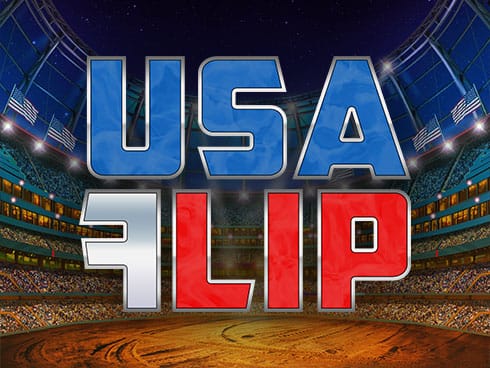 USA Flip screenshot